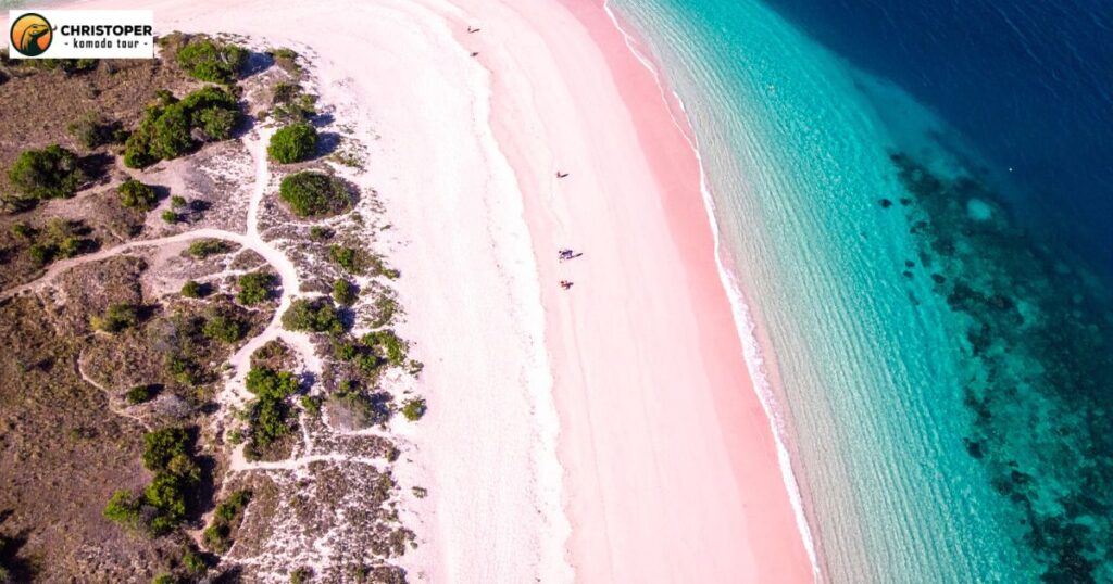 pink beach