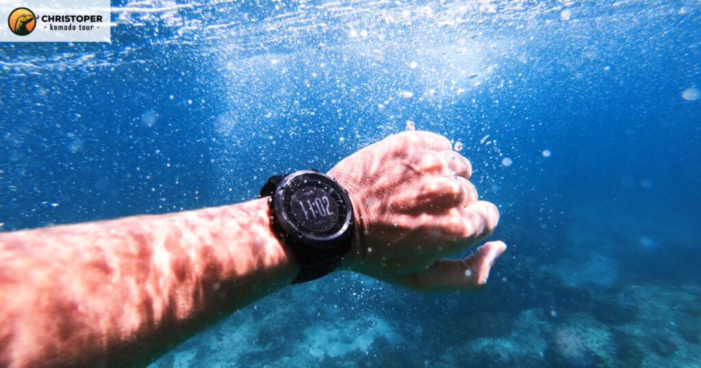 Diving Watch