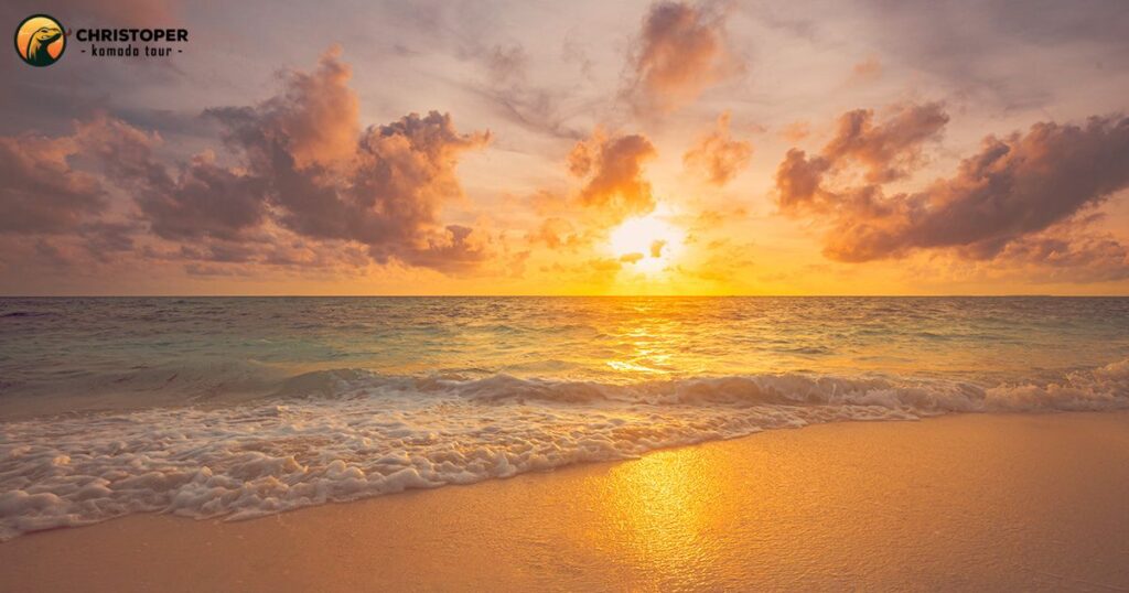 ocean view